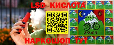 mix Гатчина