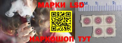 шишки Гай