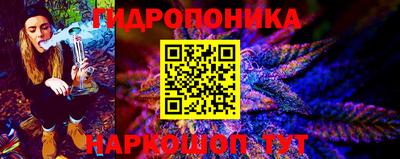 бошки Гагарин