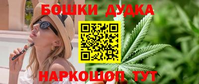 бошки Гагарин