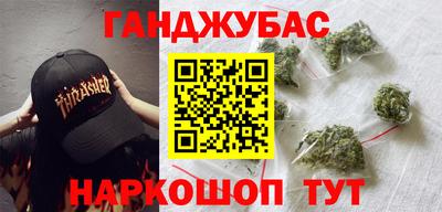 шишки Гай