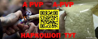 шишки Гай