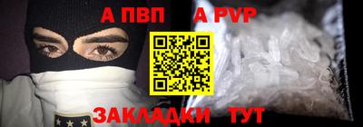 шишки Гай